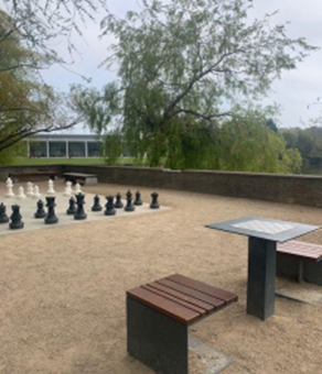 Chess garden